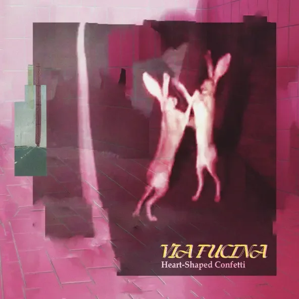 Heart Shaped Confetti