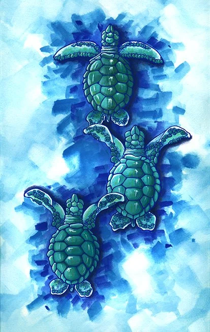 Title: Turtle Trio
Medium: Gouache & Watercolor