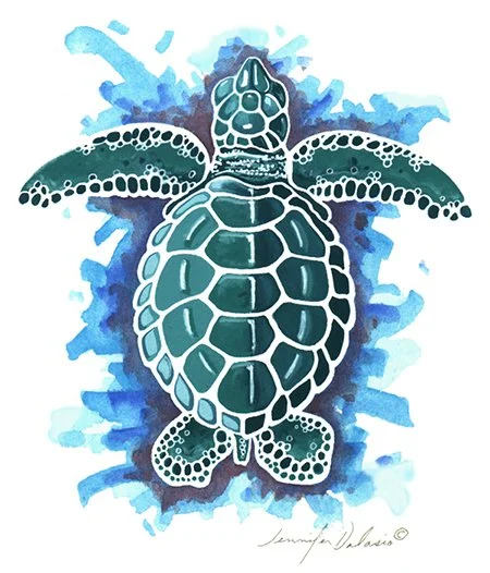 Title: Green Sea Turtle
Medium: Gouache & Watercolor