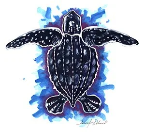 Title: Leatherback Sea Turtle
Medium: Gouache & Watercolor
