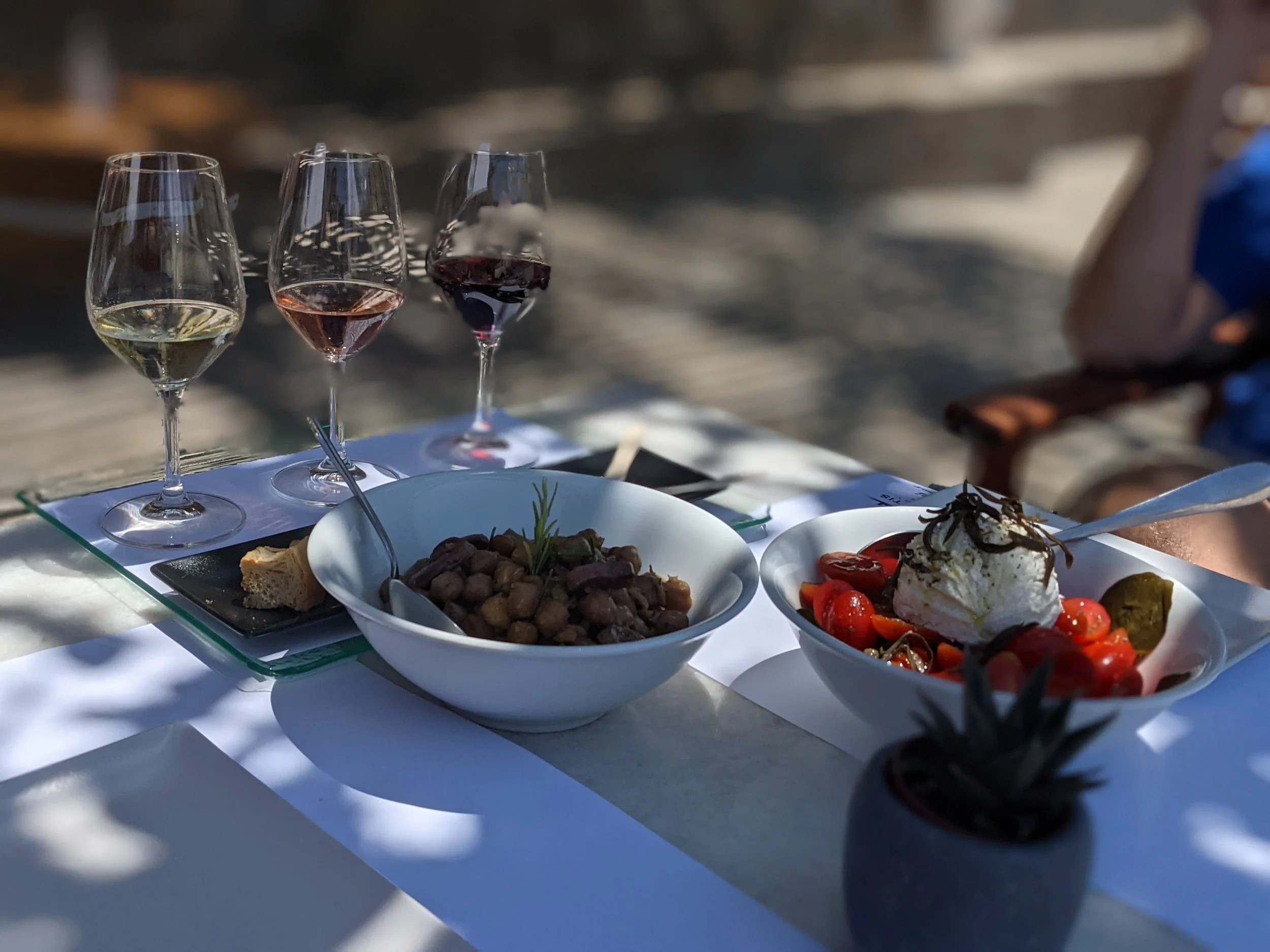 A table with three wine glasses containing white, rosé, and red wine, and bowls of various appetizers including a dish with tomatoes, mozzarella, and basil, and a dish with cooked meat and herbs, set outdoors with blurred background.
