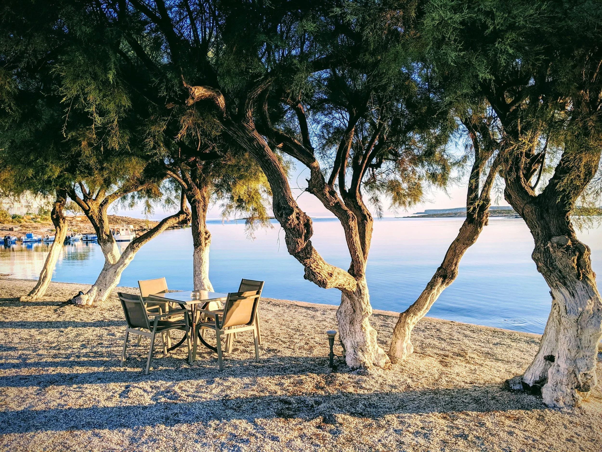 A scenic view of a lakeside area with large trees, some with white painted trunks, providing shade for outdoor chairs and tables on a sandy beach, with boats docked in the water and a distant shoreline with cliffs.