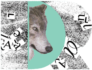 Desirae Rivera (Copy)