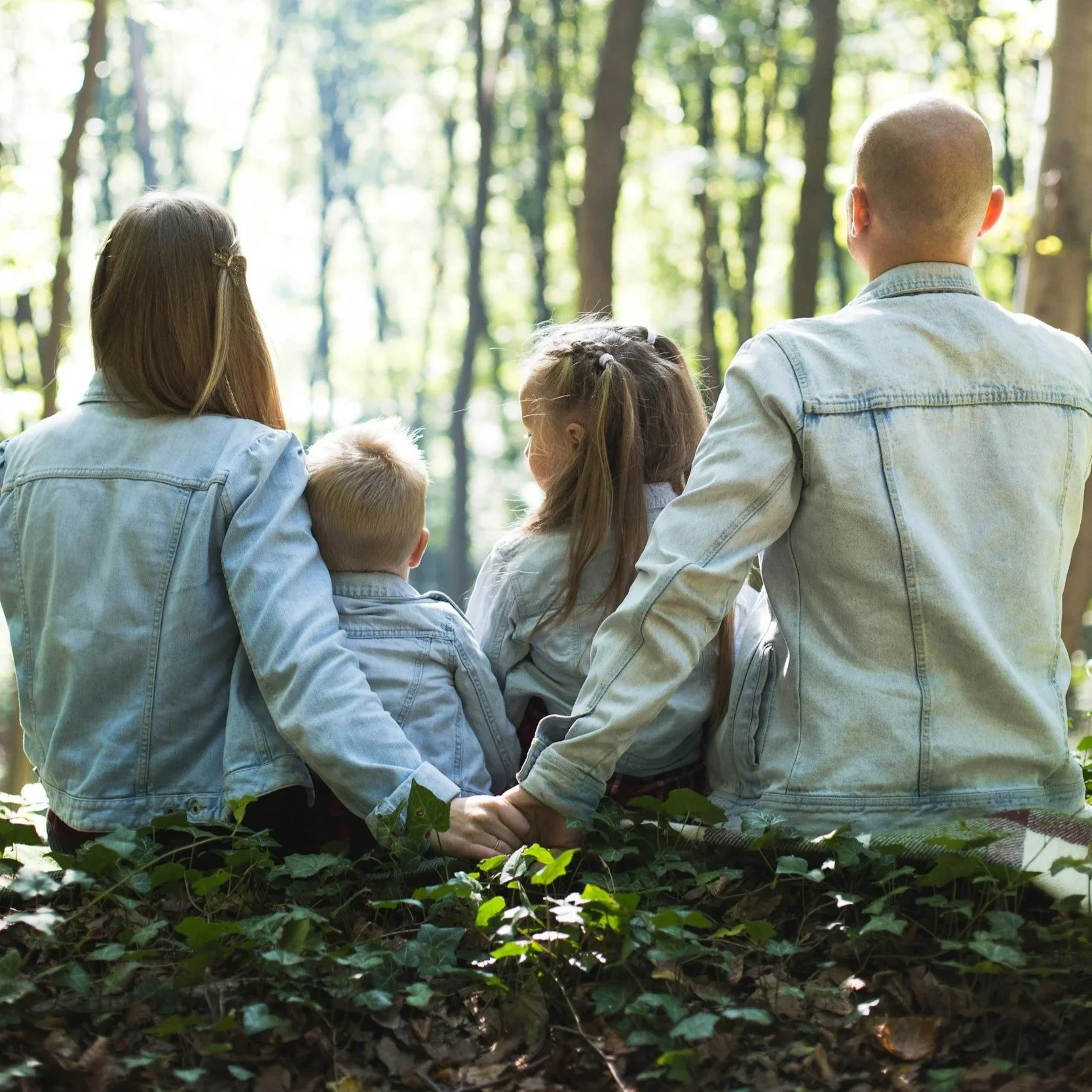 Family therapy in california