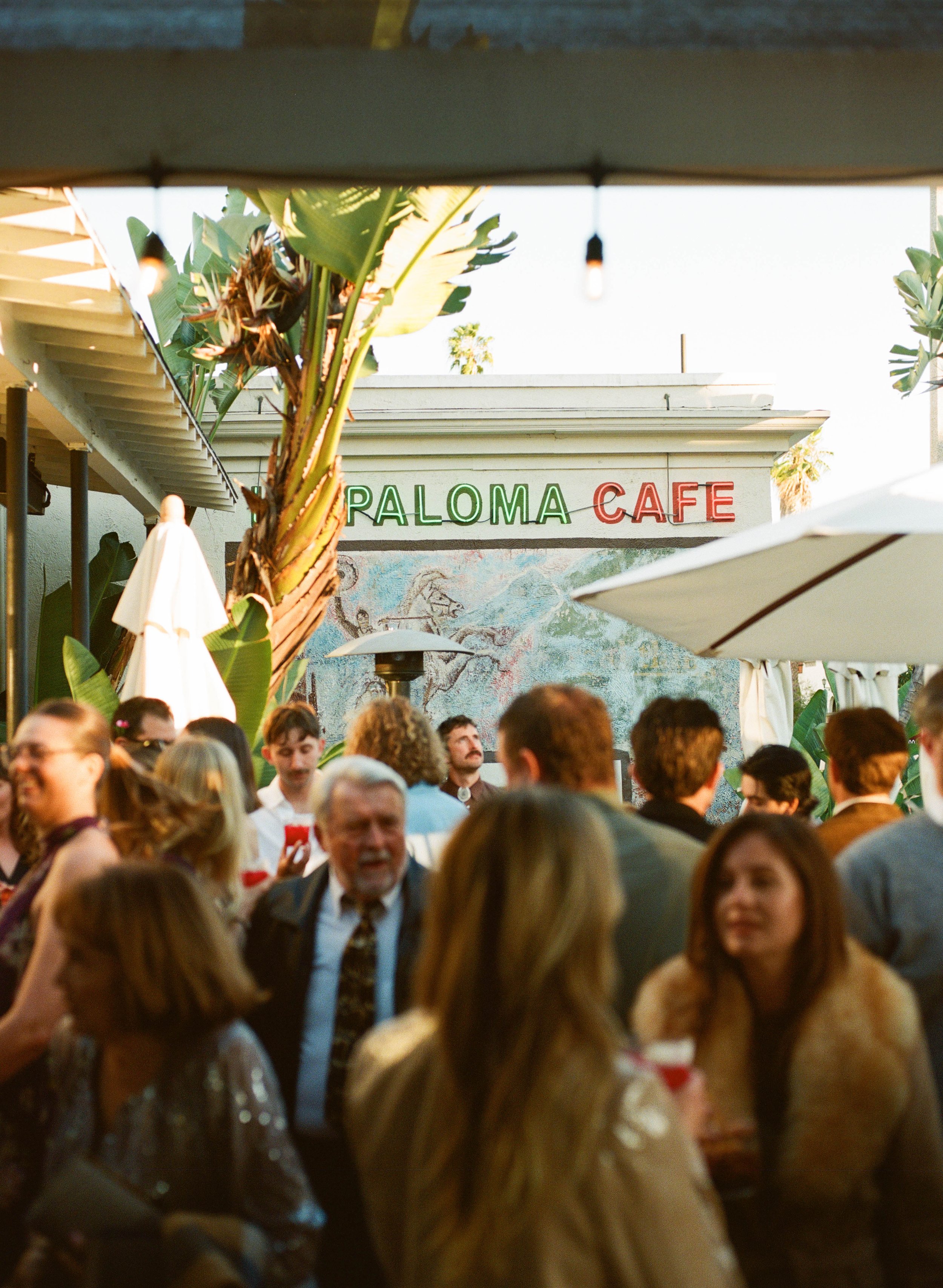 A crowded outdoor dining area at Paloma Cafe, with people gathered and a neon sign displaying the restaurant's name, surrounded by green plants and umbrellas.
