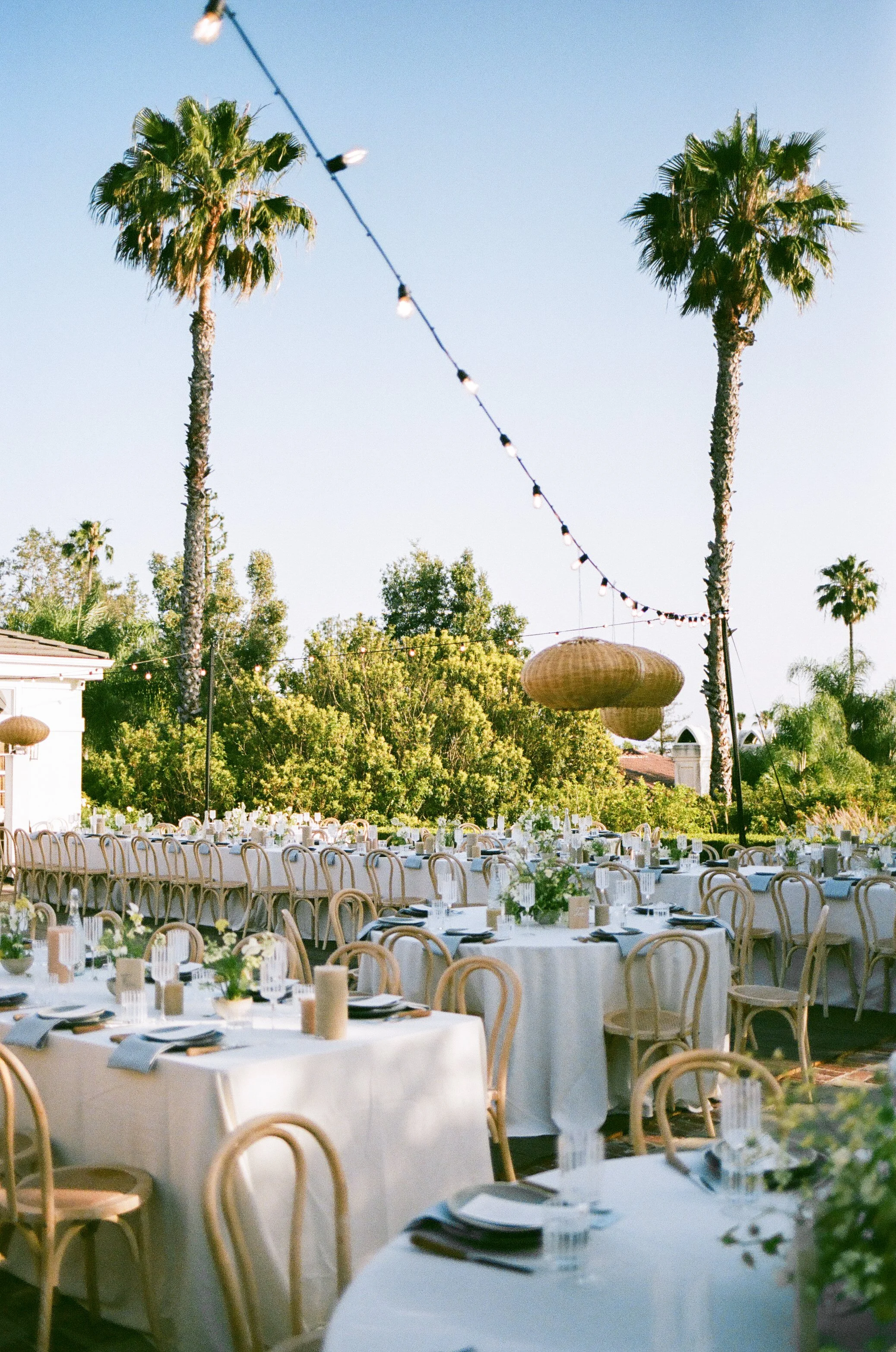 Outdoor dining setup with round tables covered in white tablecloths, decorated with small floral centerpieces, in a garden area surrounded by tall palm trees and string lights hanging overhead.