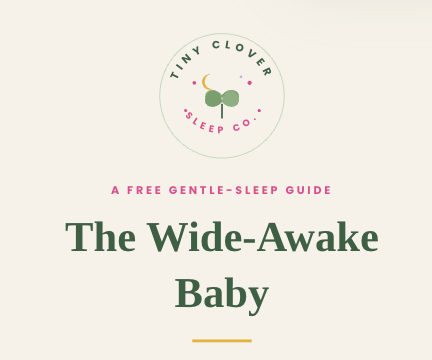 The Wide-Awake Baby Guide (+ Temperament Workbook)