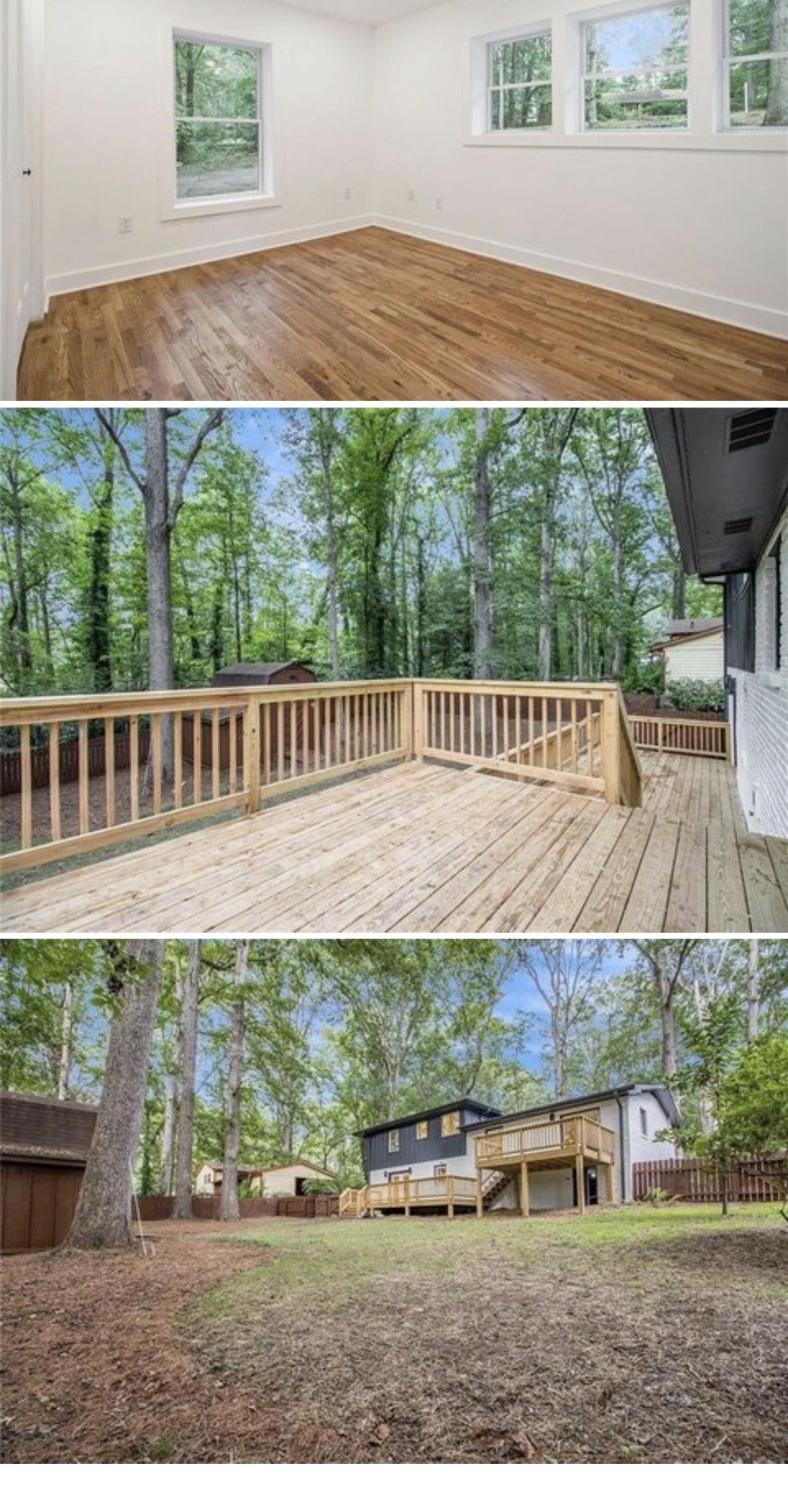 3654 Backyard.jpg