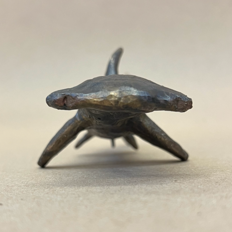 Maxwell's Bronze Hammerhead