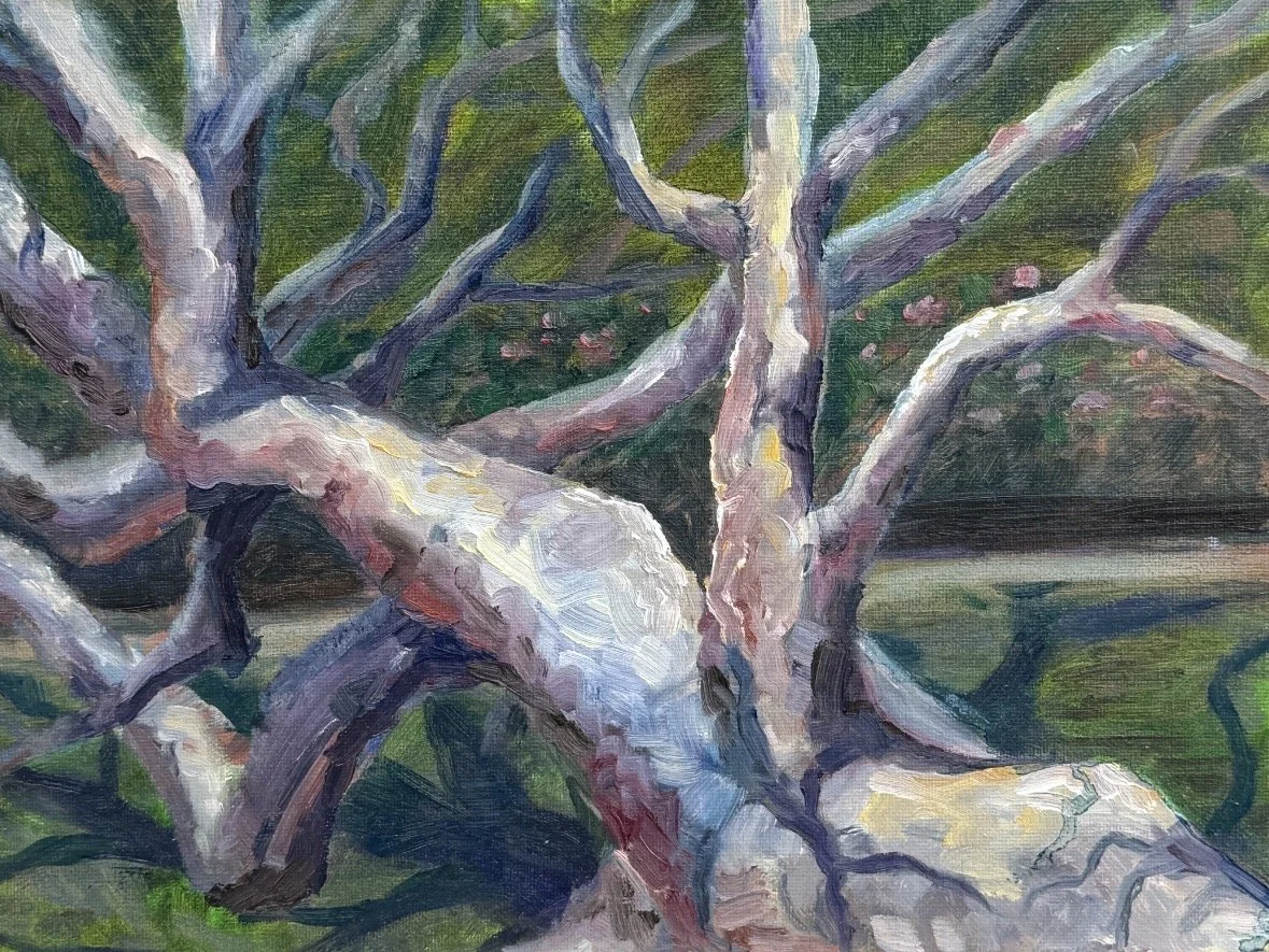 "Nina's Tree" 
Oil on canvas board, 9x12 
(from life)