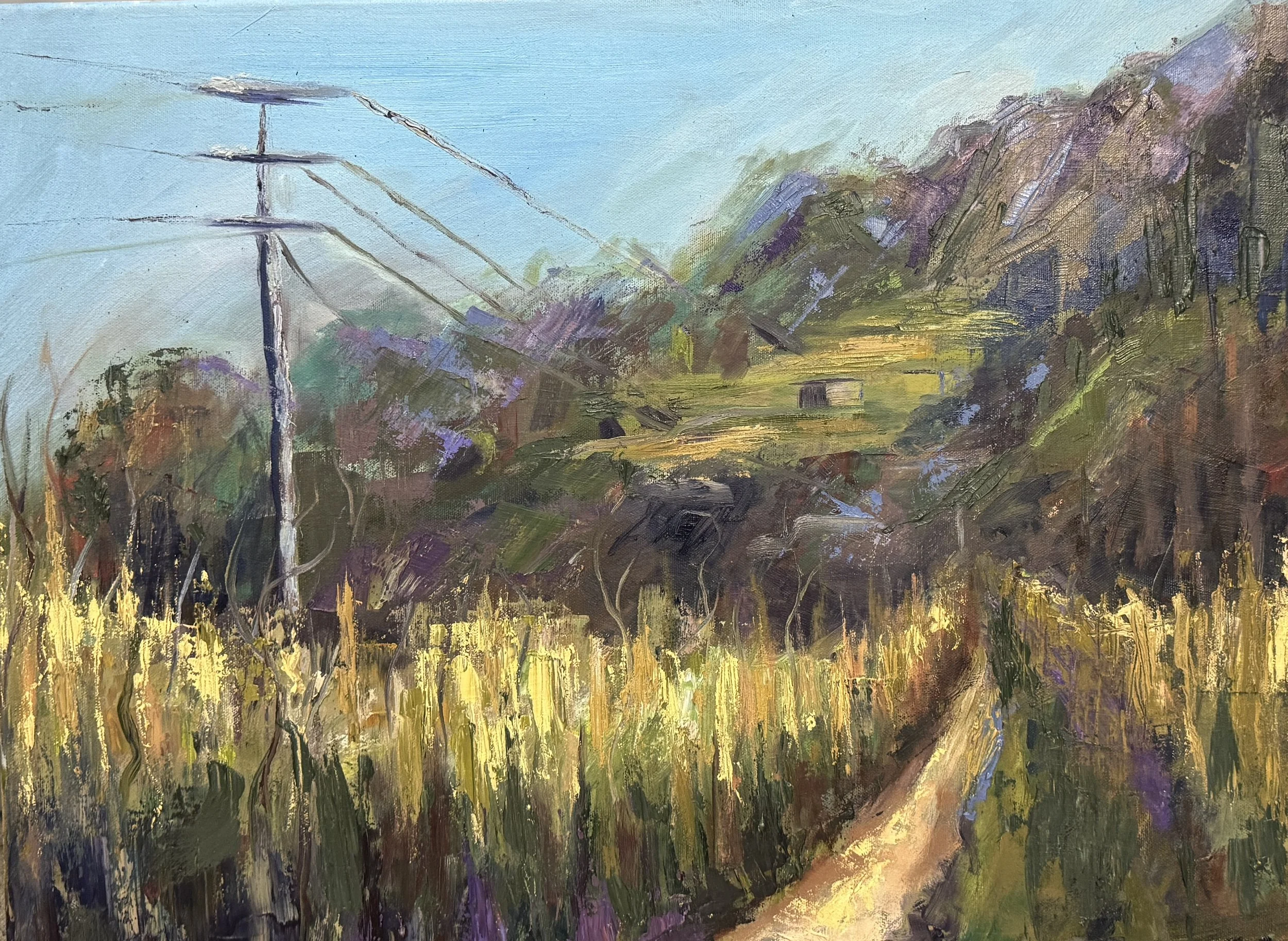 Landscapes and Dreamscapes