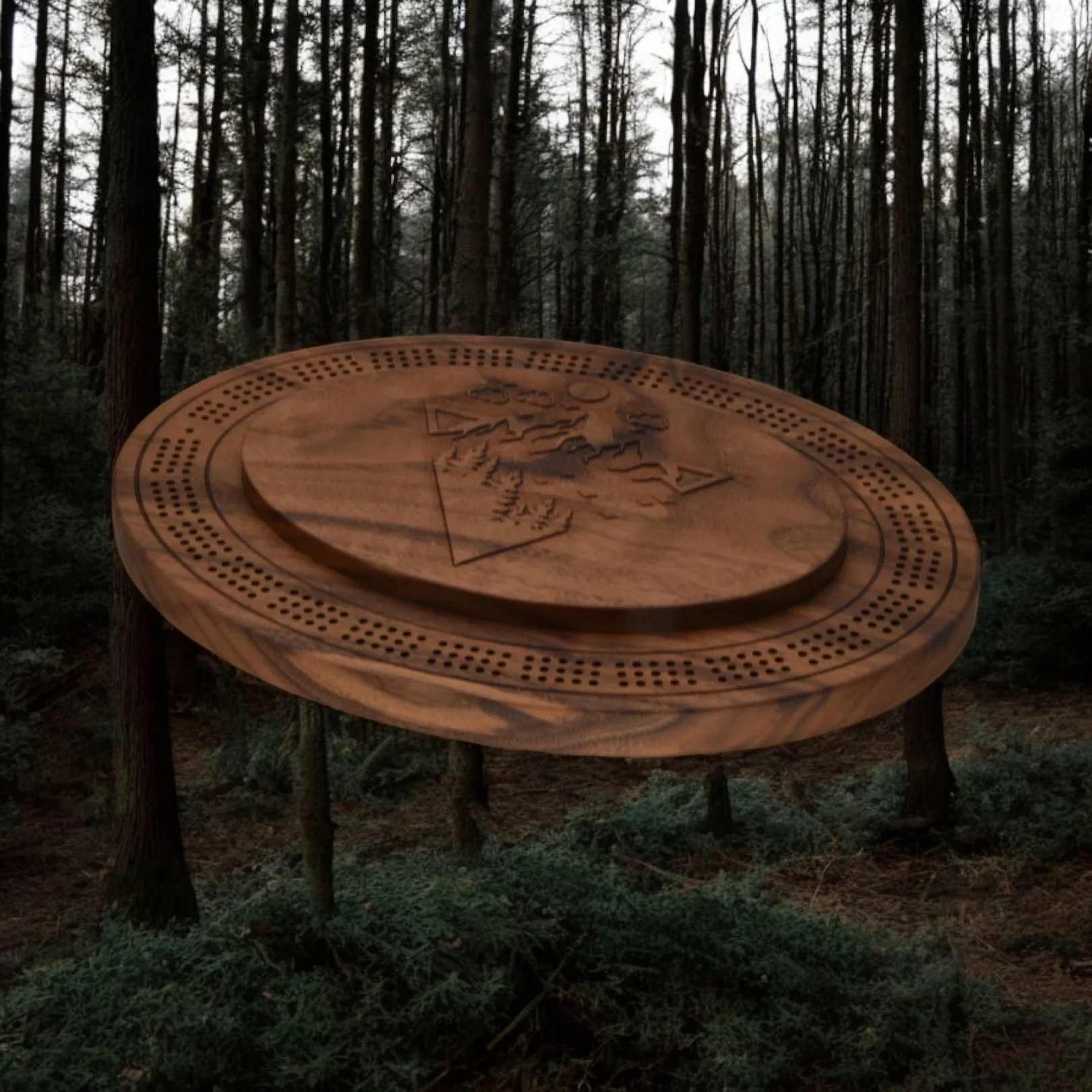 Cribbage Board With Storage