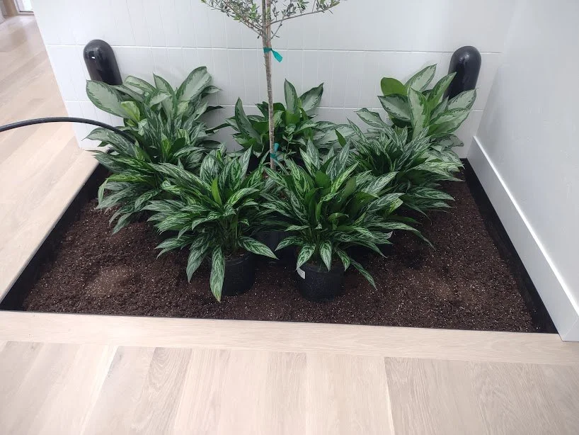 Residential Atrium (26).jpg