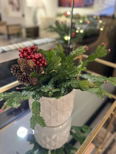 Botanical Arrangements (6).jpg