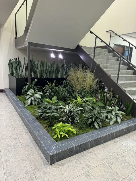 Indoor plant bed with various lush green plants located at the base of a staircase inside a building.
