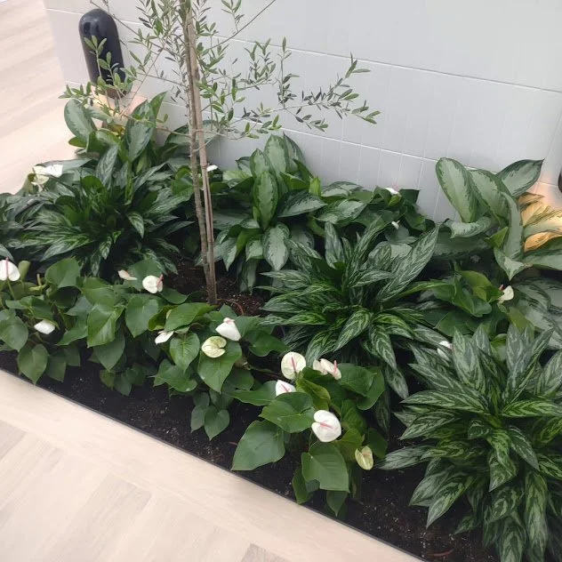 Residential Atrium (1).jpg
