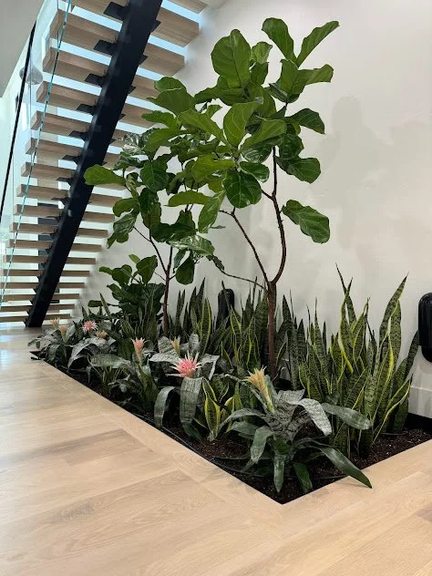 Residential Atrium (3).jpg