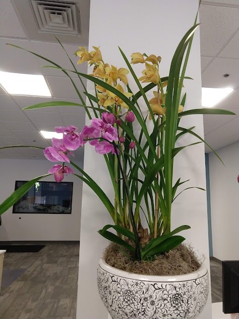 Botanical Arrangements (43).jpg