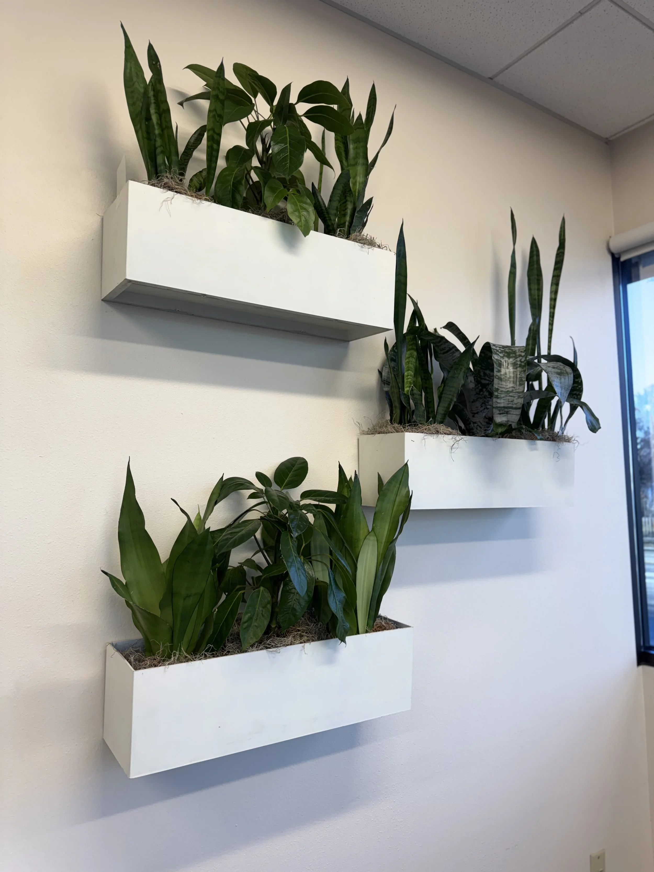 Professional Spaces