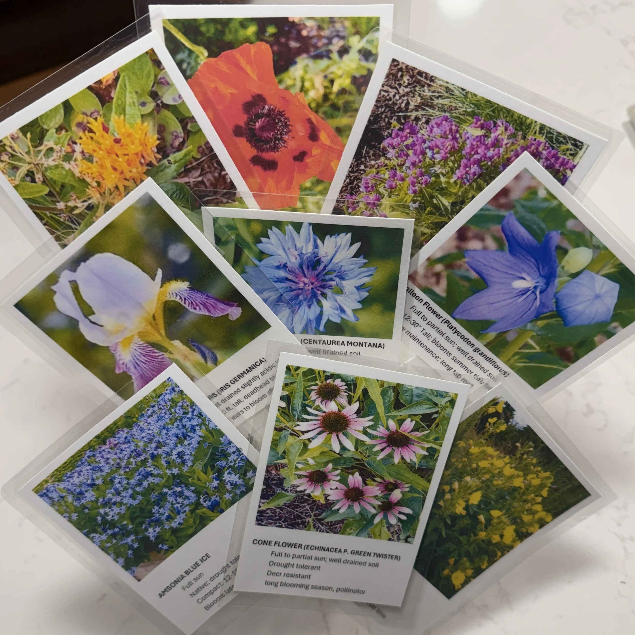 May Plant Sale
