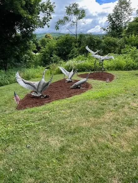 geese workday3.jpg
