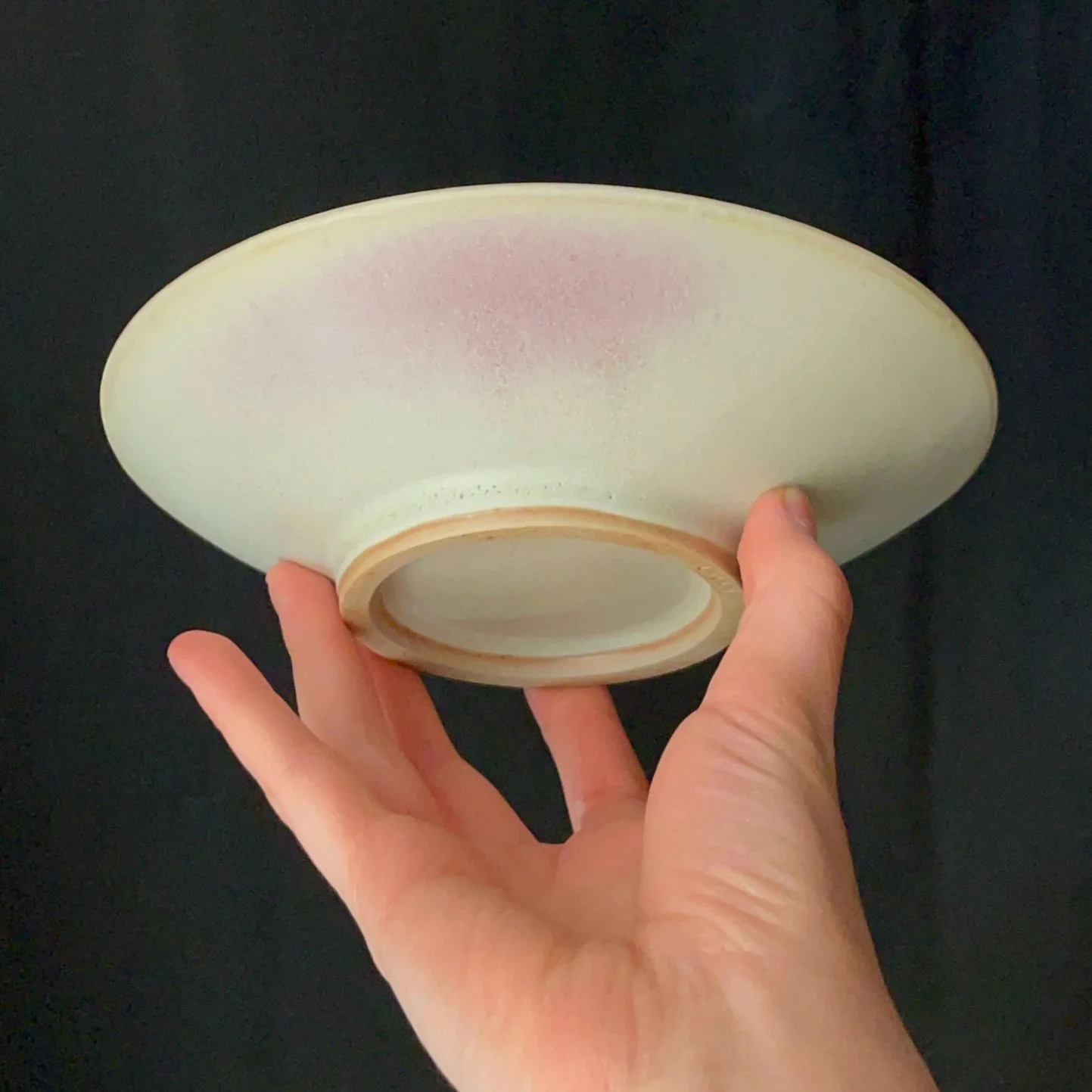 BLUSHING PLATE