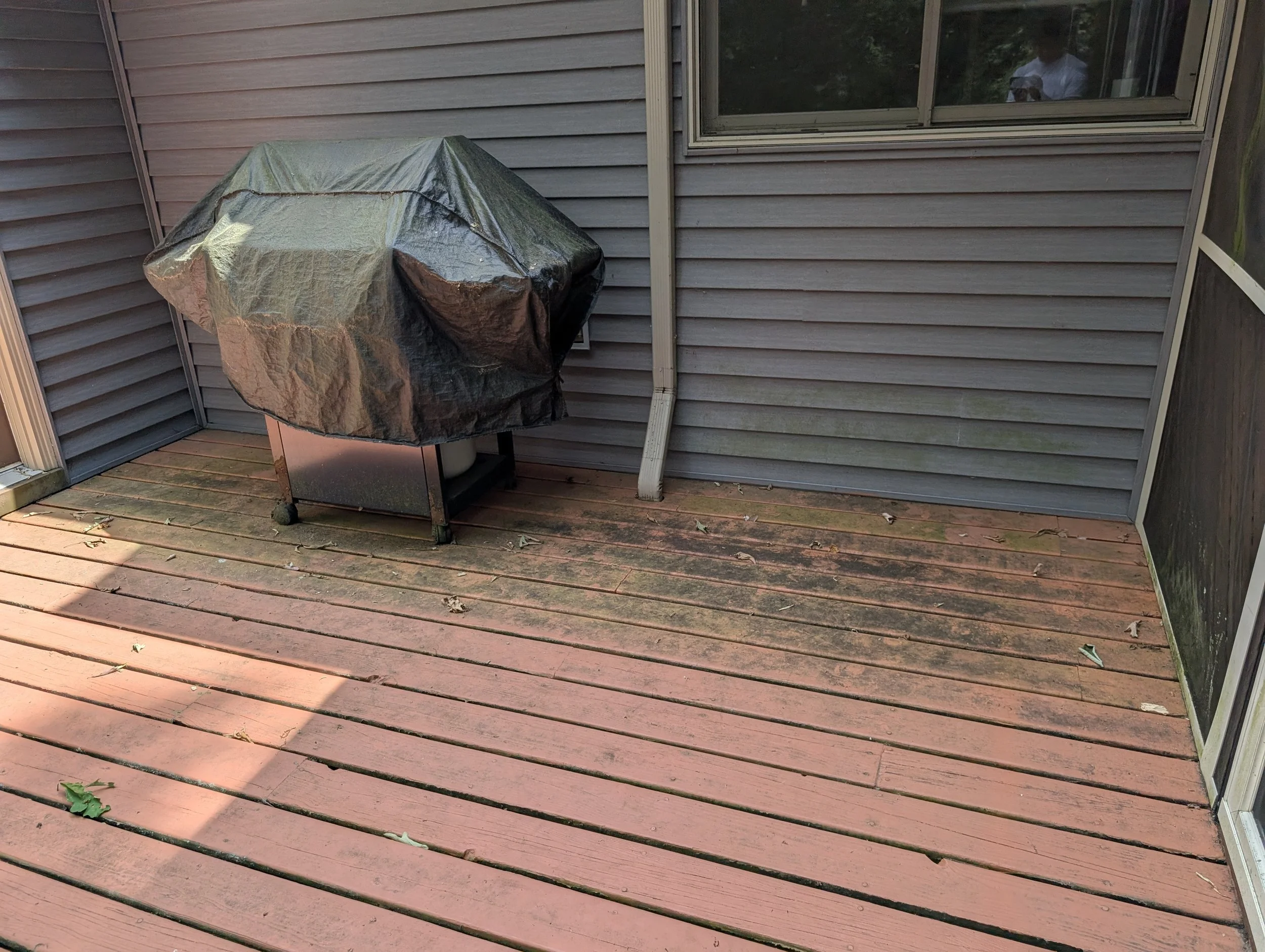 A dirty wooden deck with a large patch of algae in front of dirty blue siding.