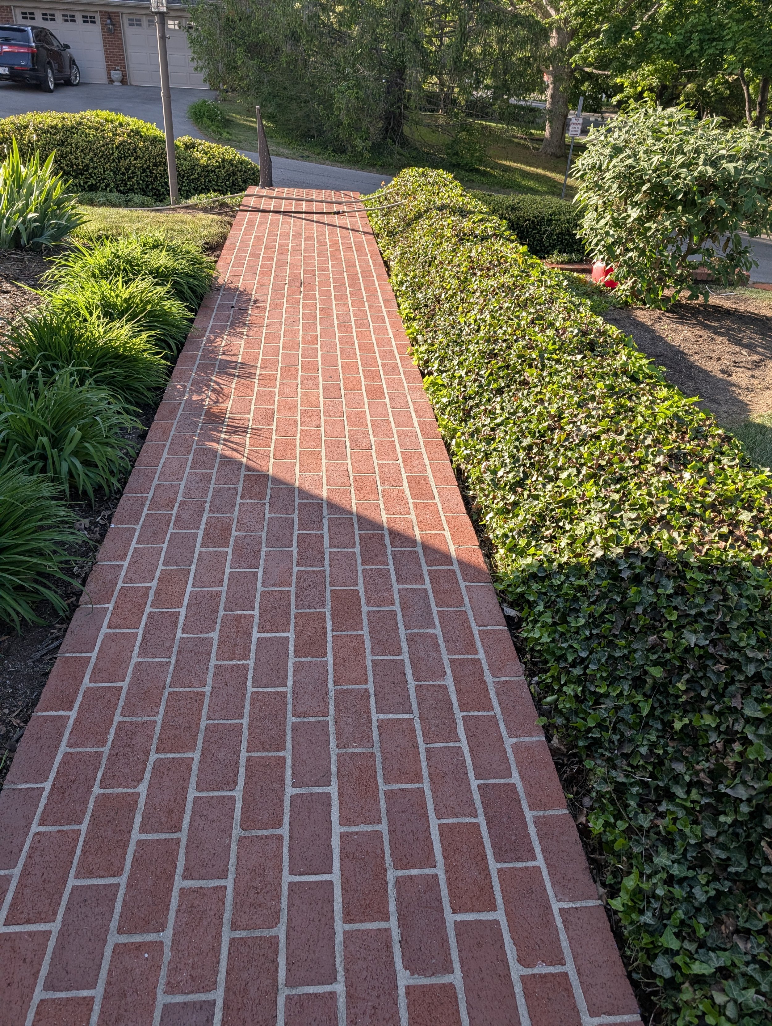 A freshly cleaned brick sidewalk bordered by green bushes and plants, with trees and a street in the background.