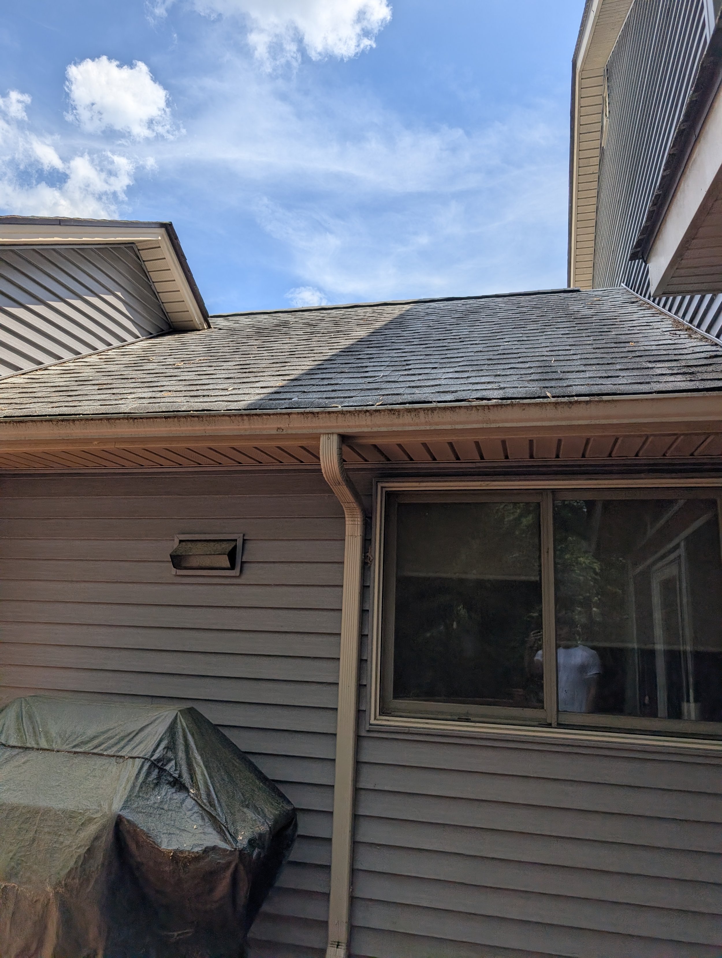 Dirty gutters beneath a dirty roof.