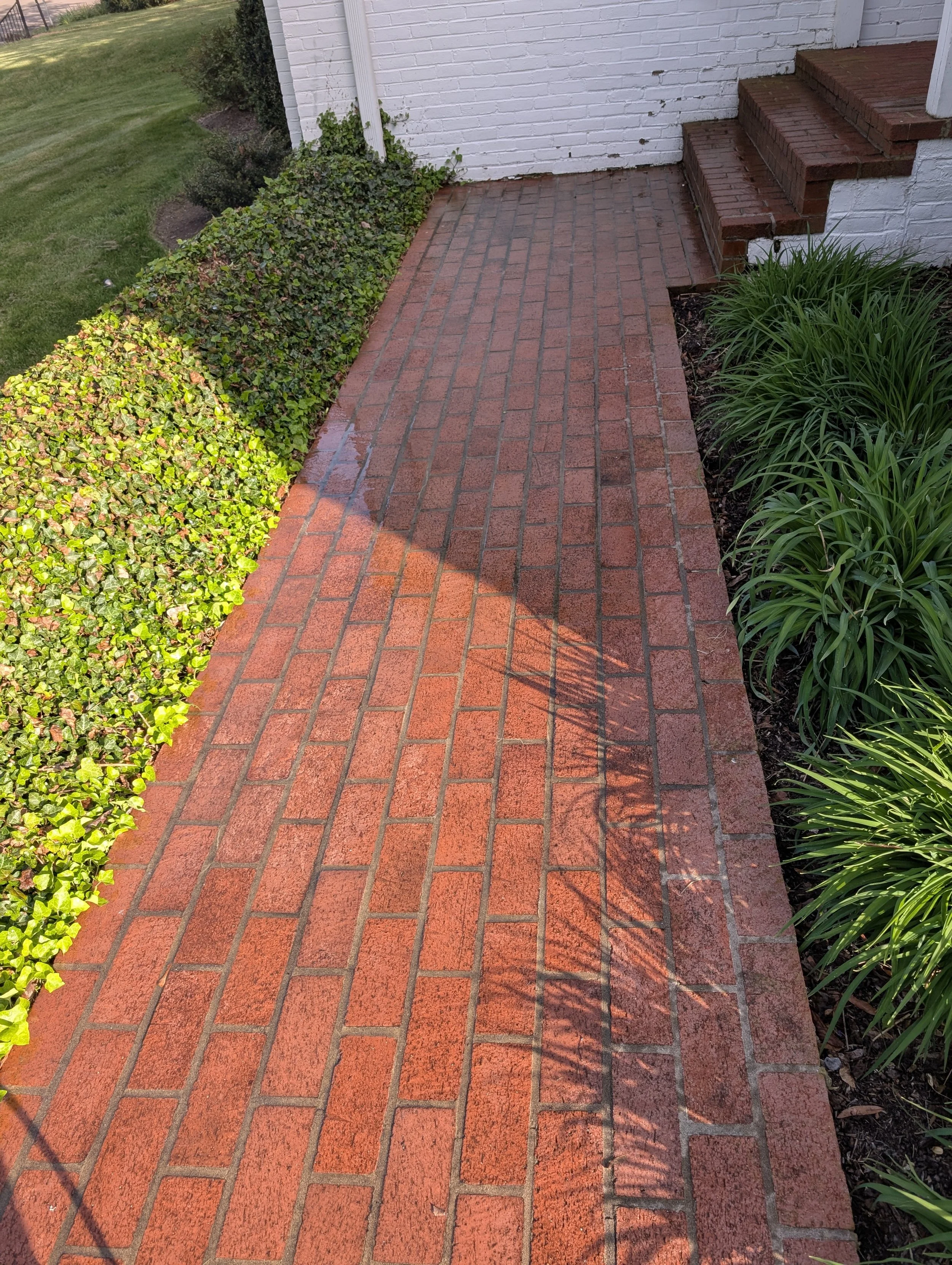 View of a dirty brick walkway with steps, next to a brick wall and green foliage on the side, with grass and trees in the background.