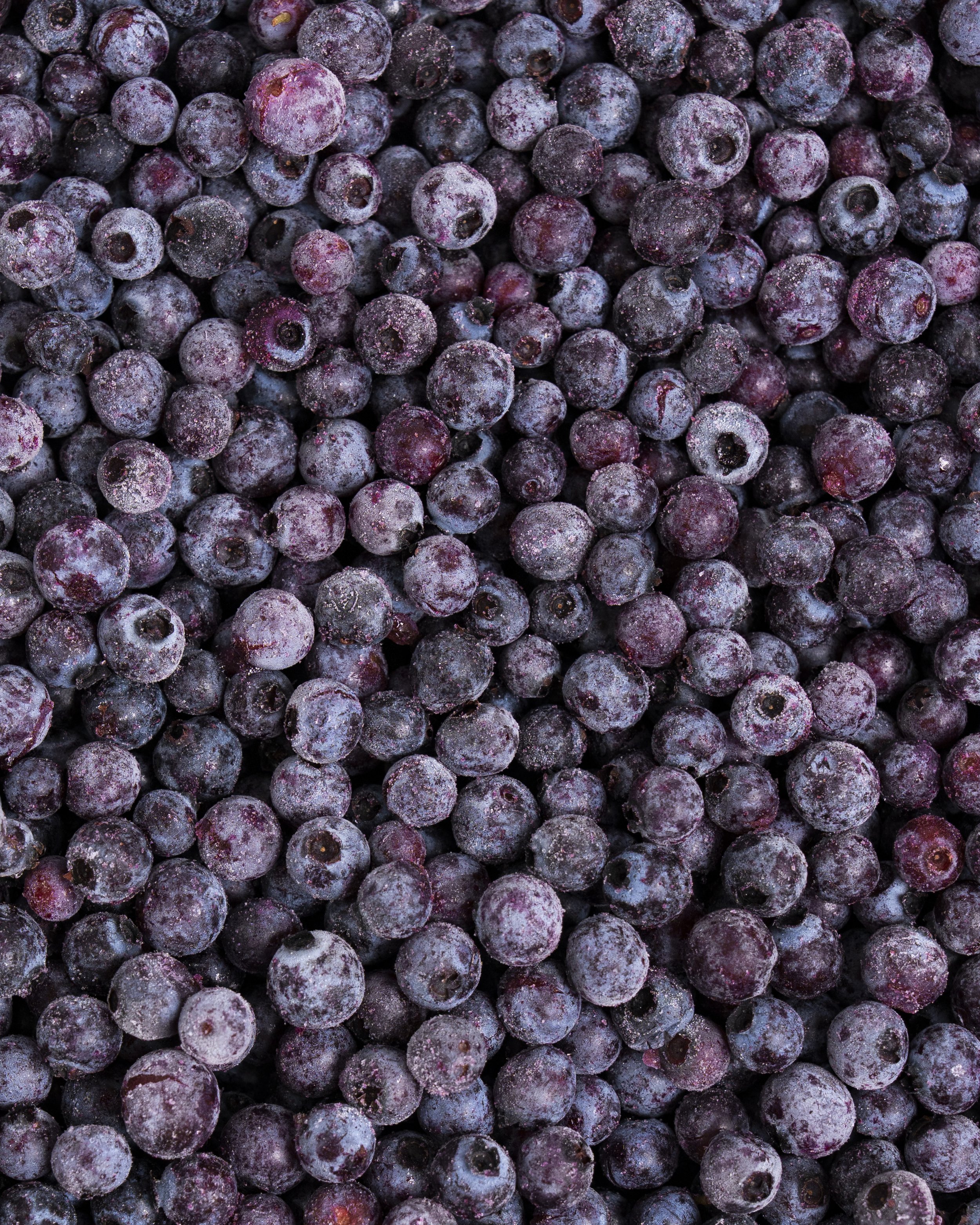 Wild Blueberries.jpg
