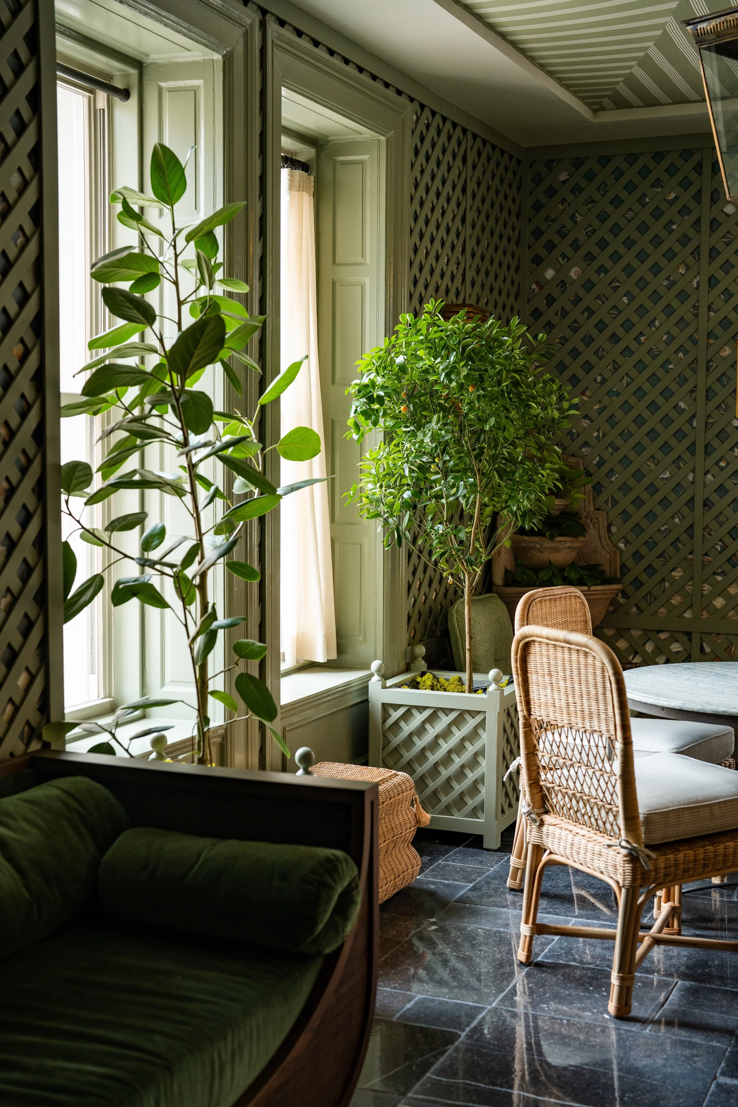 Sunlit indoor space with large windows and green plants, including a tall leafy plant and a smaller bushy plant in a decorative planter, surrounded by rattan chairs and a green velvet sofa.