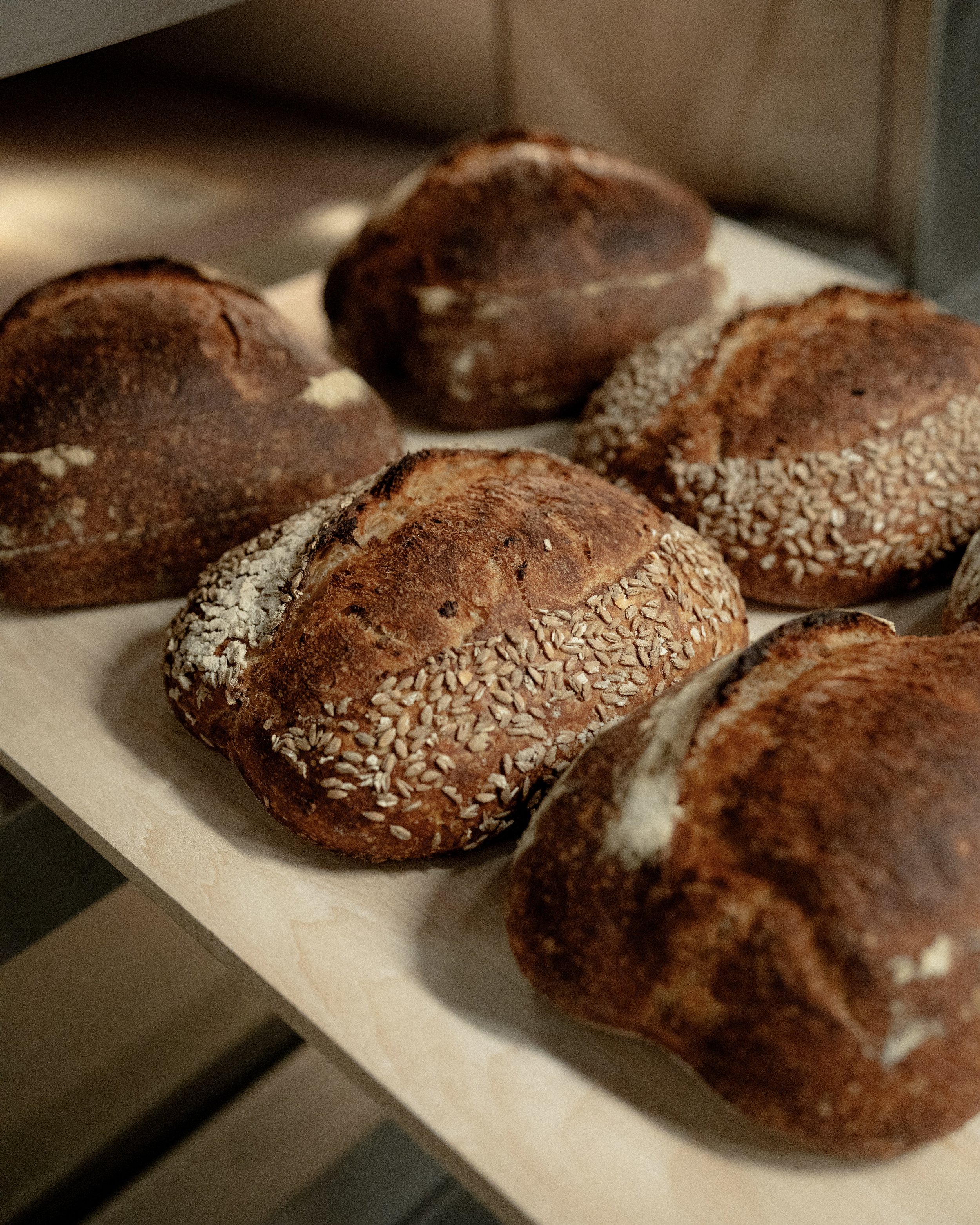 Close-up of several freshly baked bread rolls on a white surface, some topped with oats.