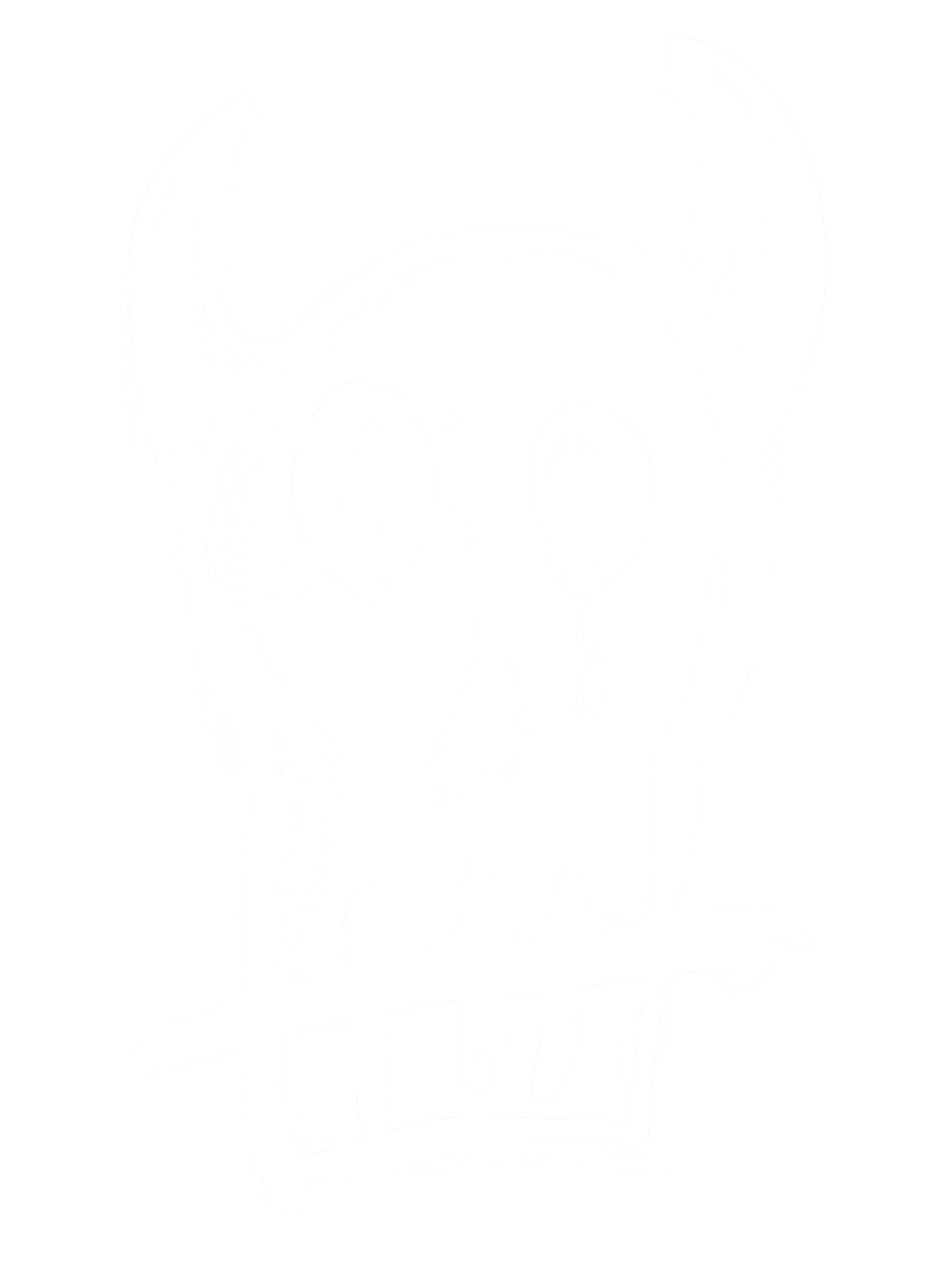 Diablo Skull Wesbite.png