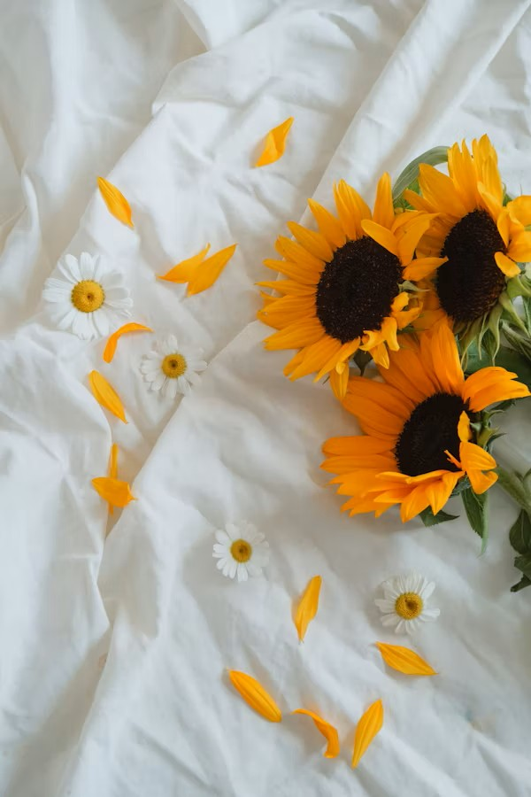 Cool Sleep Spaces for Canadian Summers