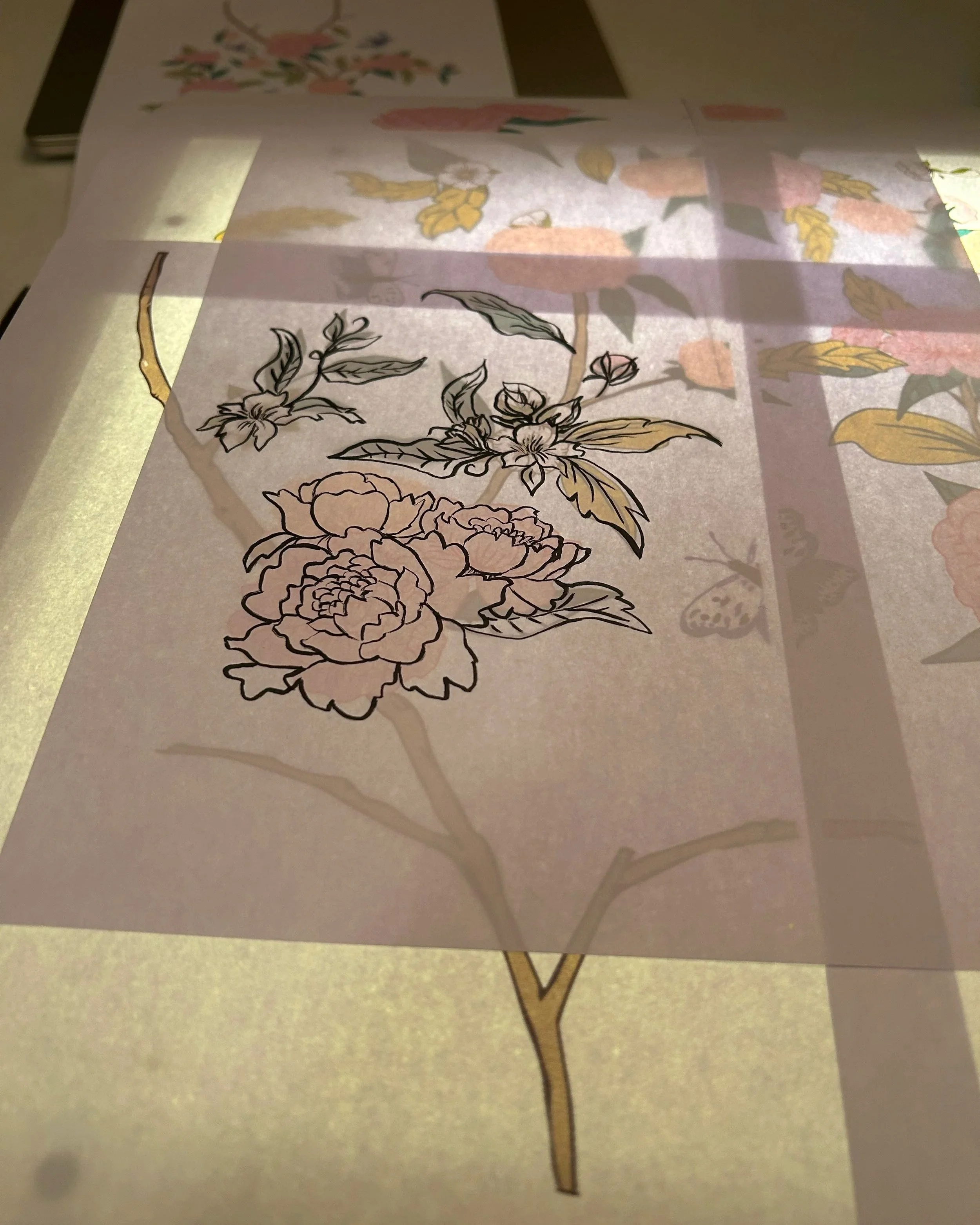 A botanical illustration sheet with detailed line art of flowers and leaves, placed under a lighted, semi-transparent sheet with colored floral designs.