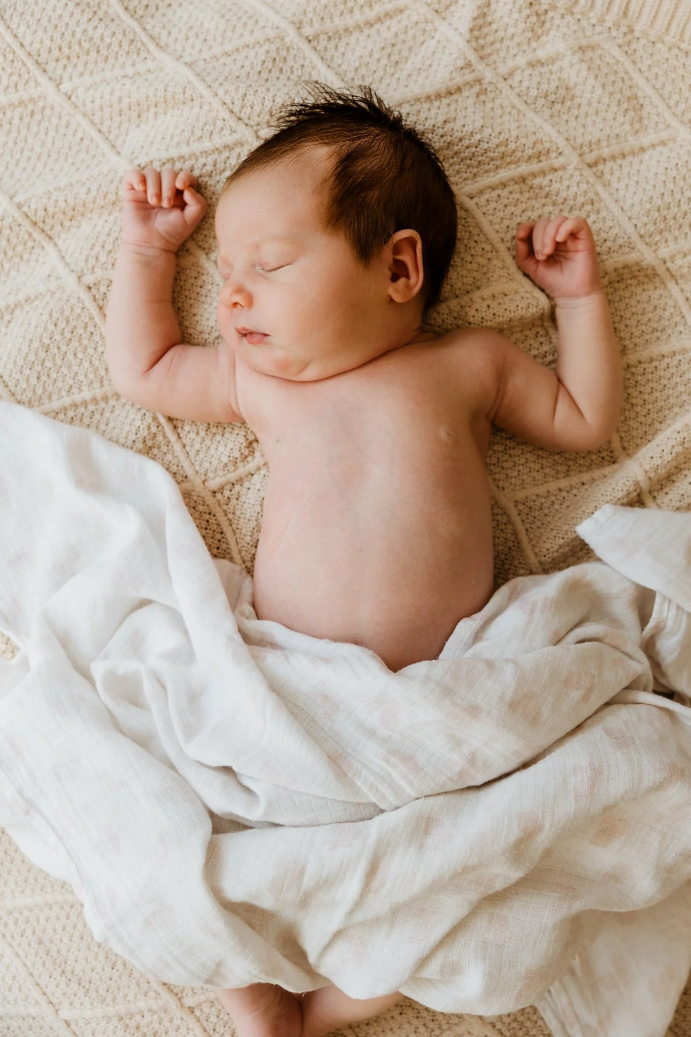 primrose__0524-LR.jpg