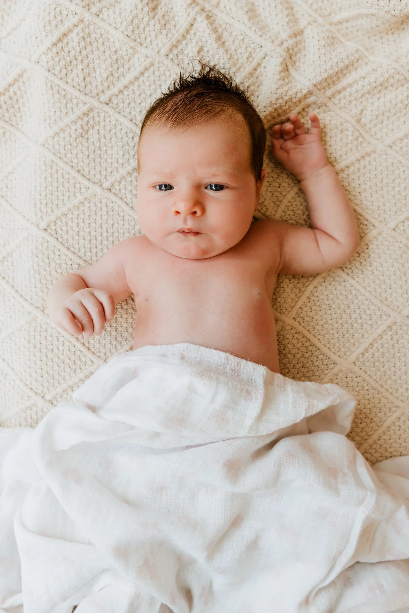 primrose__0484-LR.jpg