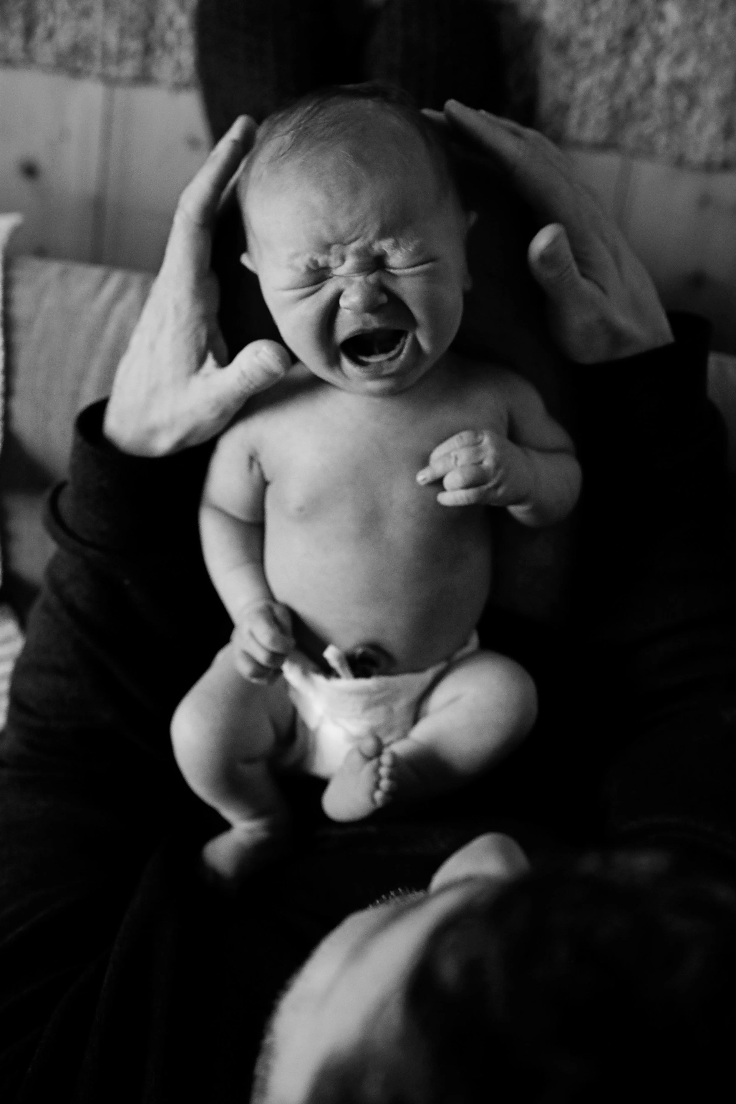 Hazel__0289_BW.JPG