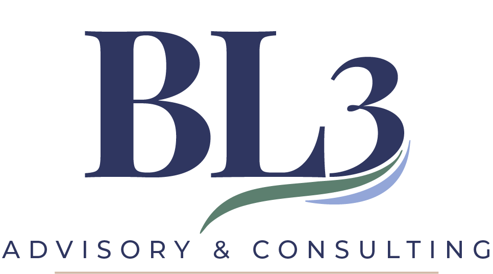 Bl3 Advisory &amp; Consulting