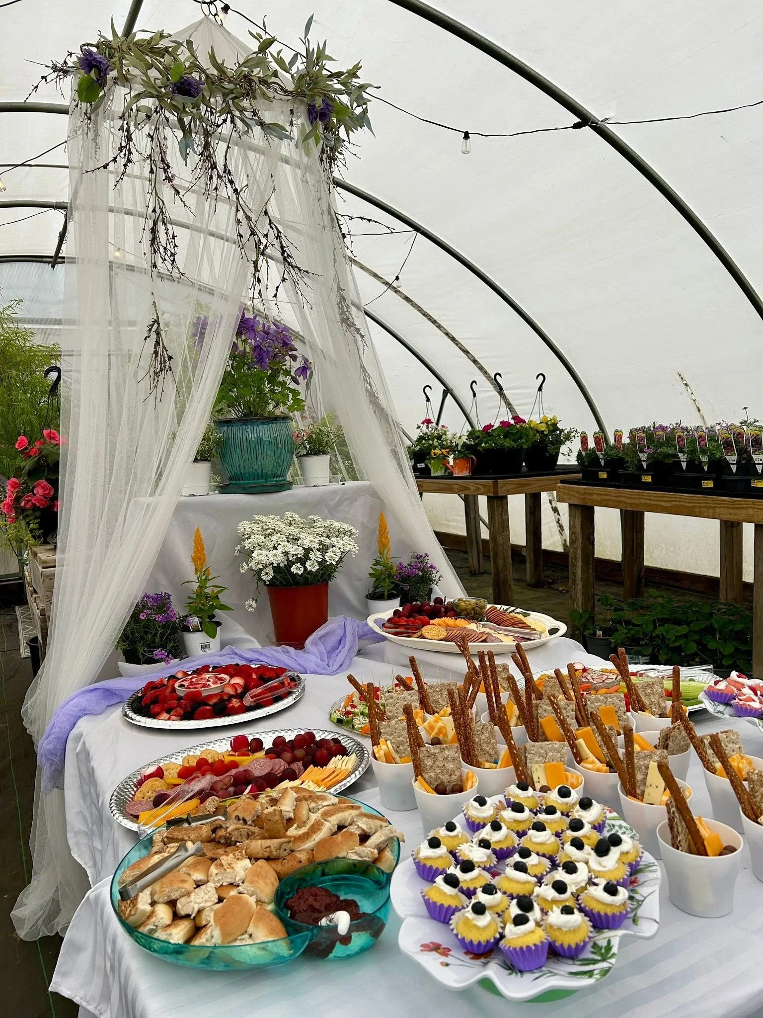 A buffet table with various desserts and snacks in a greenhouse decorated with plants and flowers, featuring a variety of candies, cupcakes, bread, and fruits.
