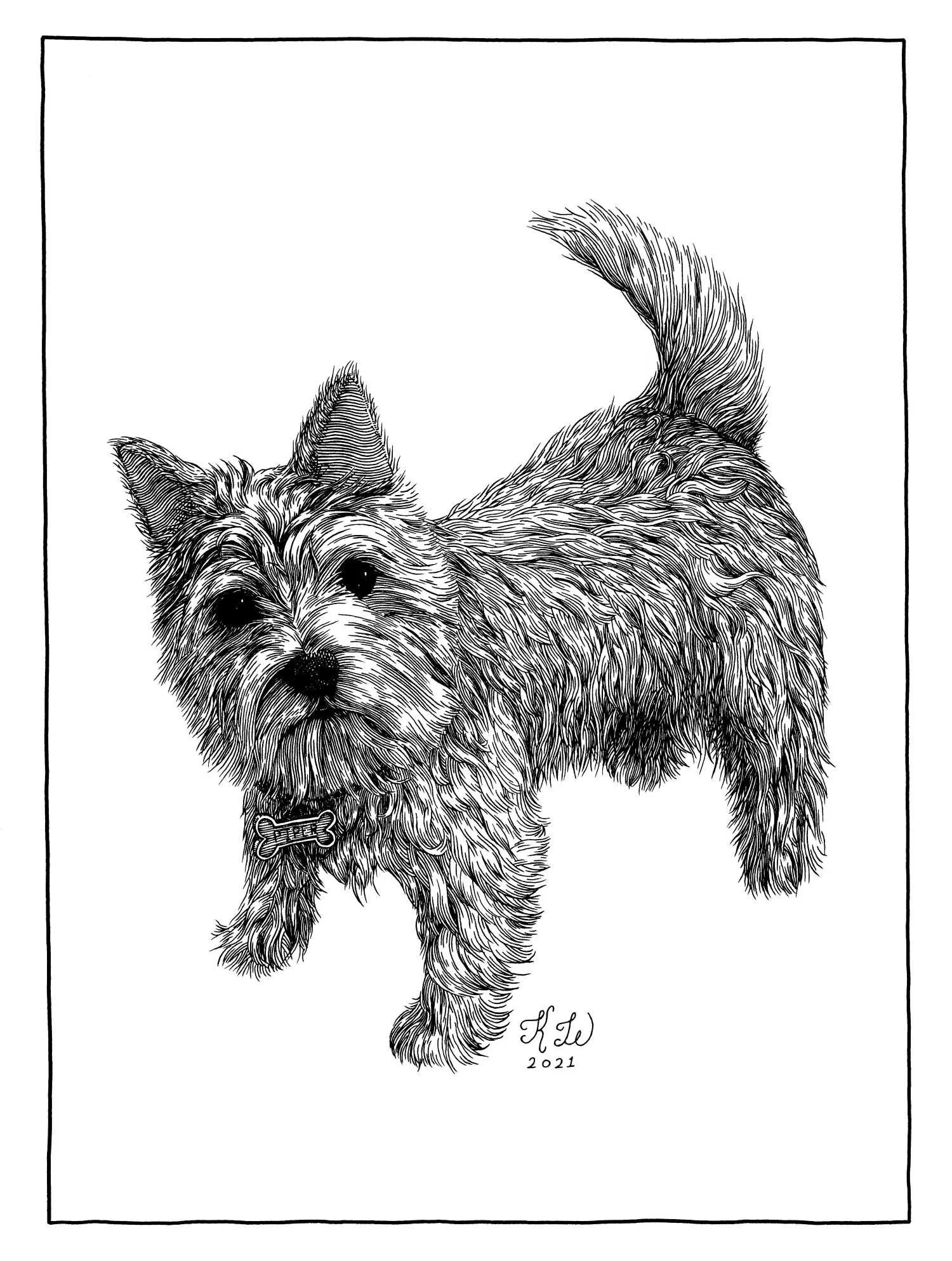 Private commission of pet dog ‘Piper’. Technical pen on 9 x 12 inch vellum paper, 2021.
