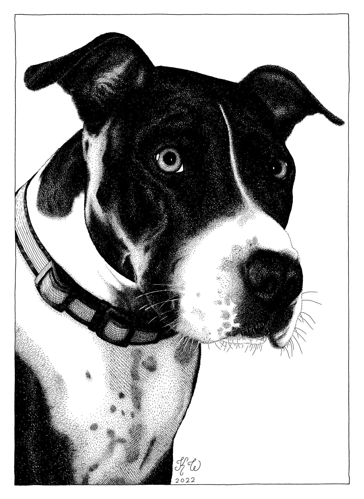 Private commission for a dog portrait. Technical pen on 9 x 12 inch vellum paper, 2022.