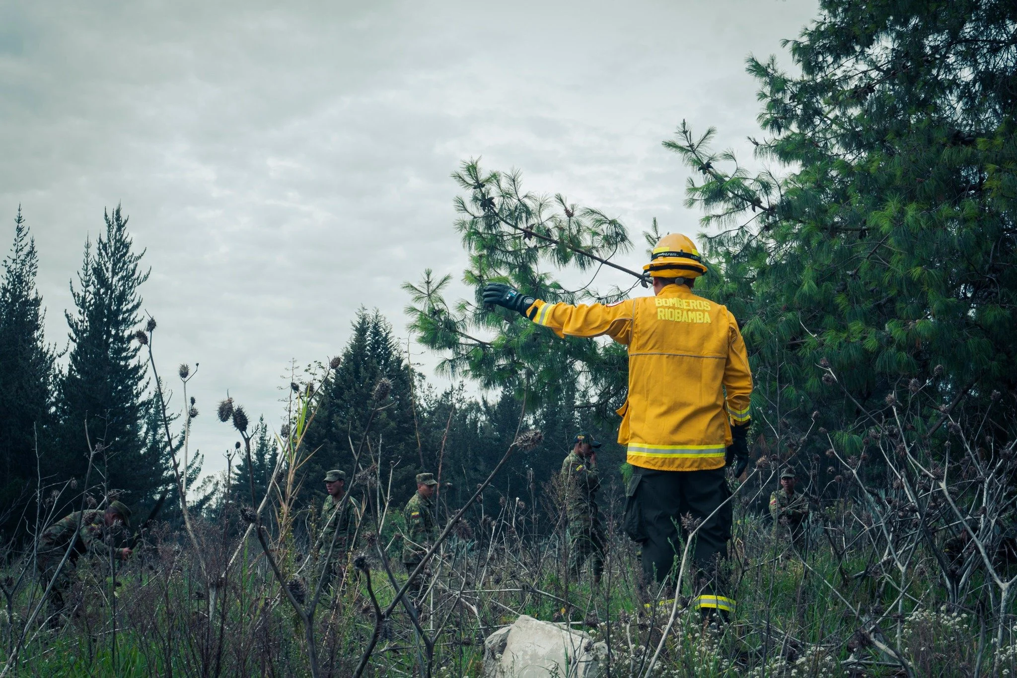 Un bombero de Riobamba en uniforme amarillo apagando un árbol en un bosque
