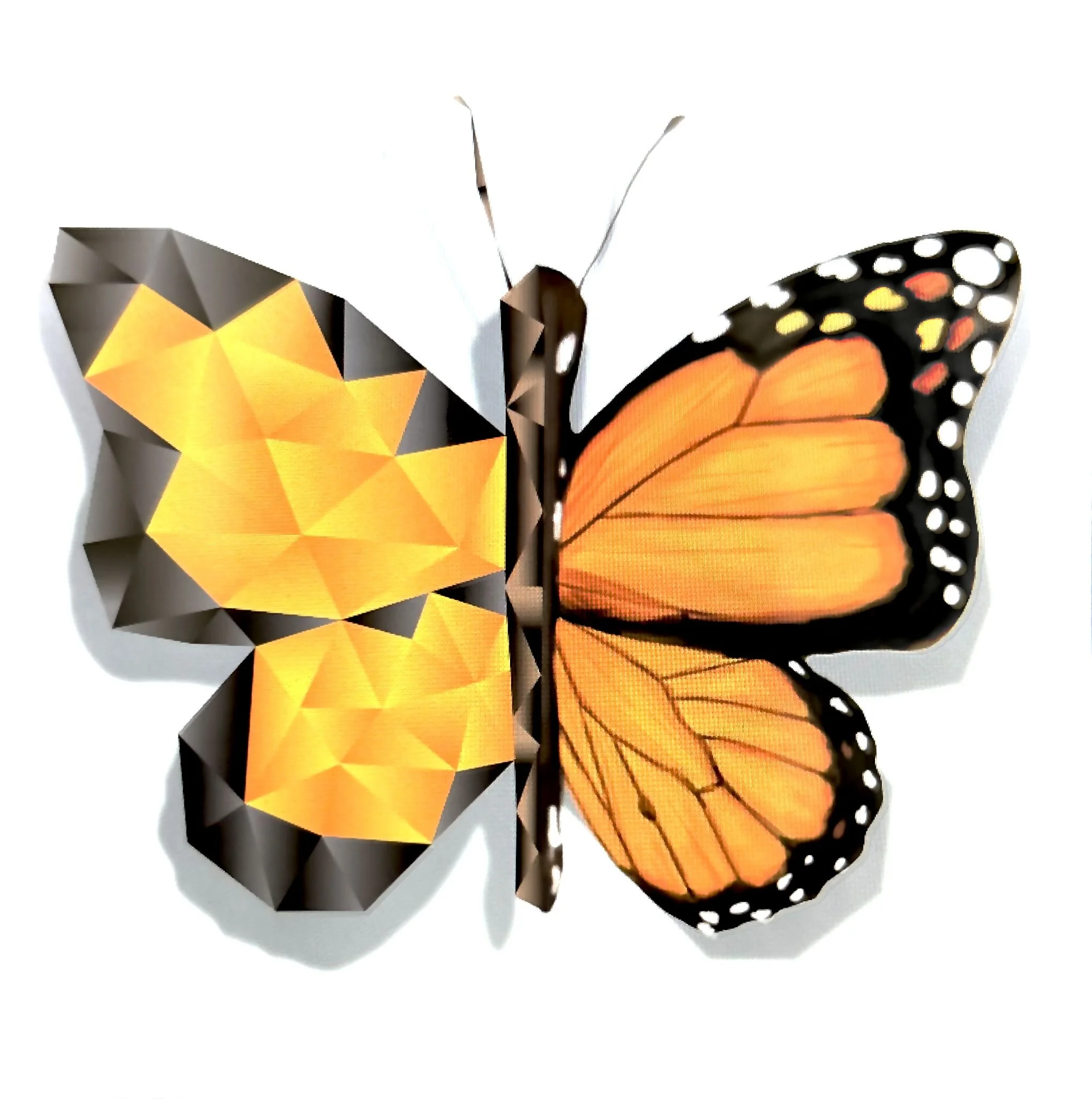 Dichotomy