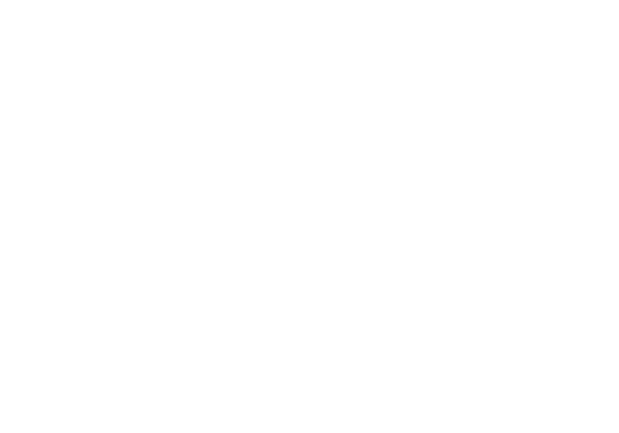 Shiner Beer logo | beverage brand and campaign experience | MAXBODYSHOP