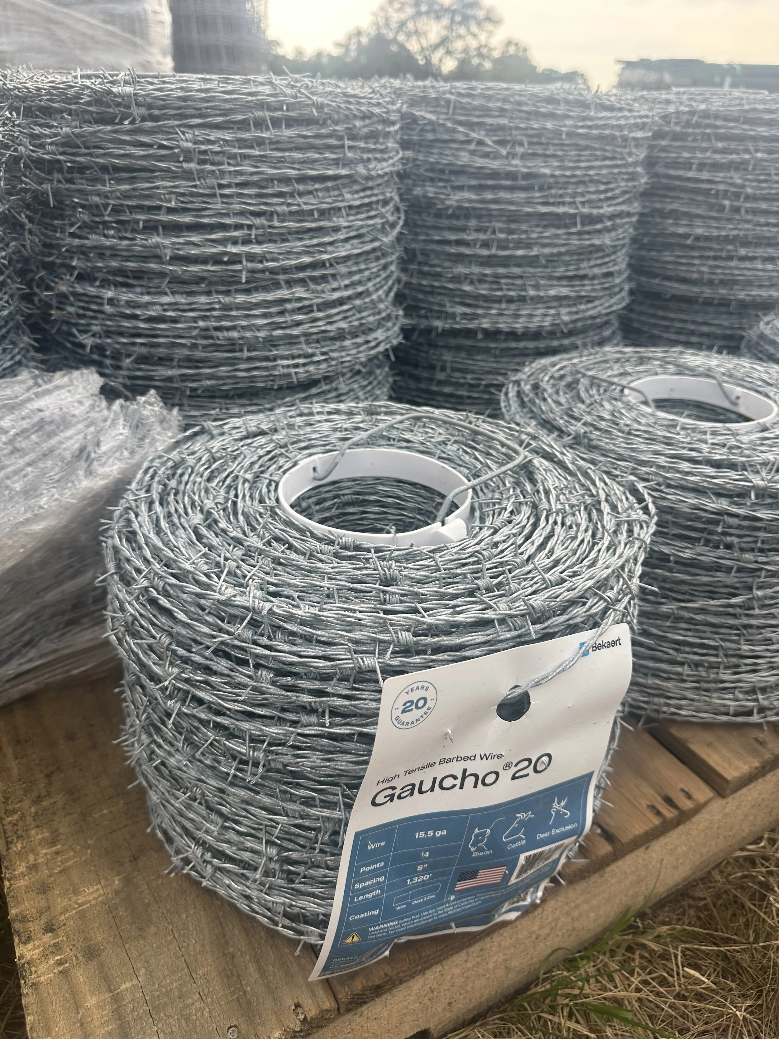 4pt Gaucho Barbed Wire