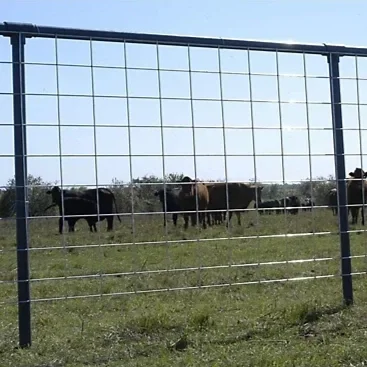 16' Cattle Panel