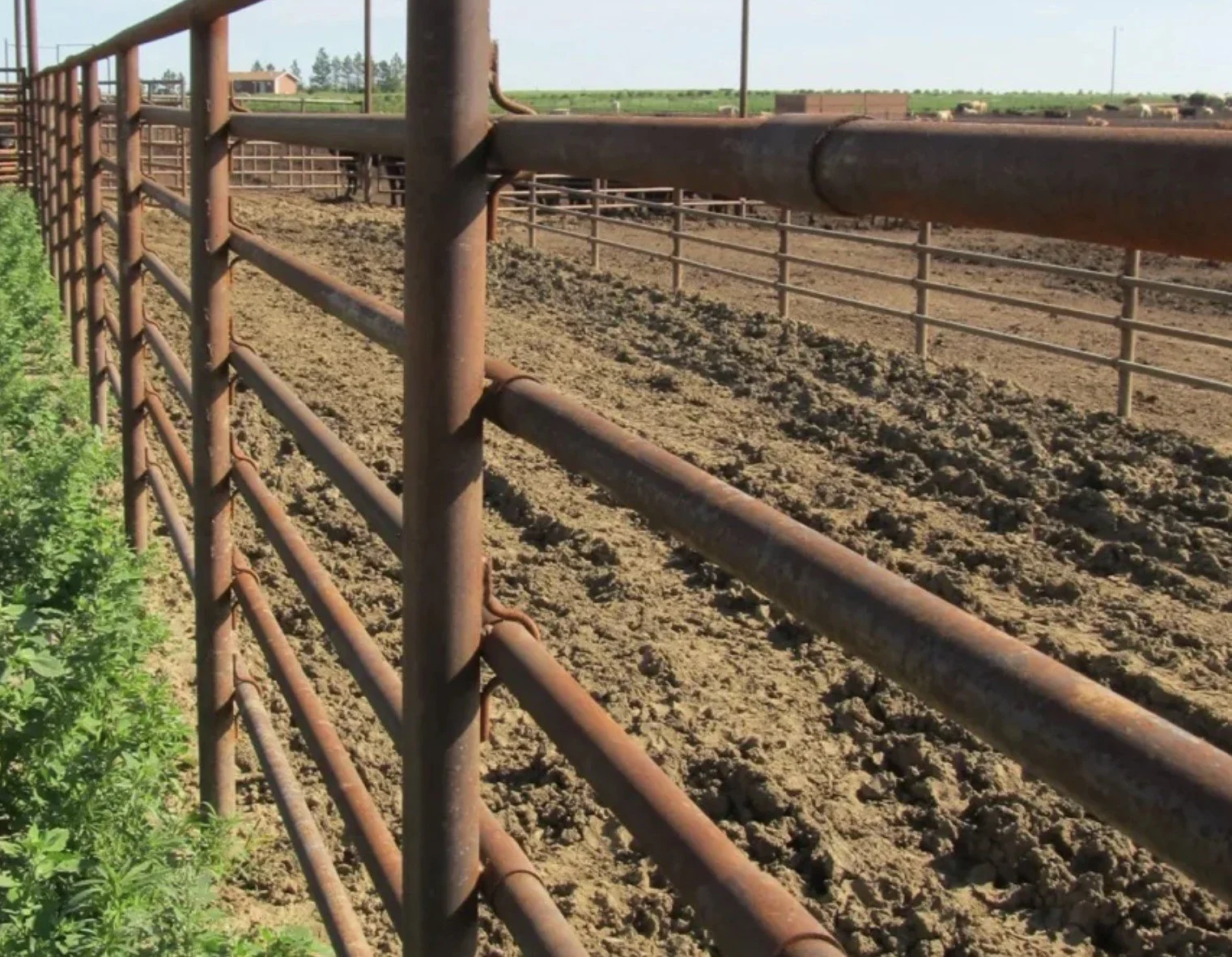 pipe fence.jpg