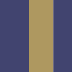 www.businessenglishworks.com favicon
